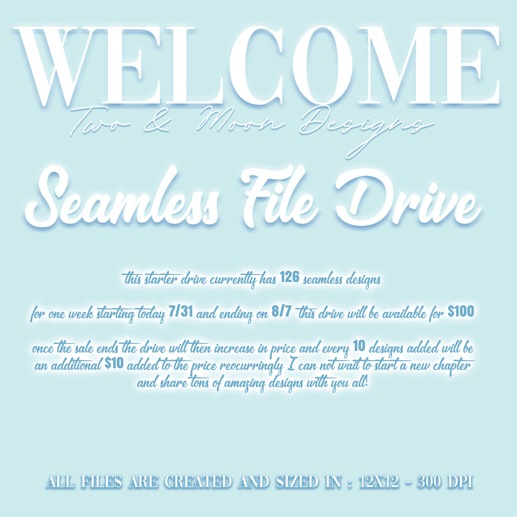 STARTER SEAMLESS FILE DRIVE